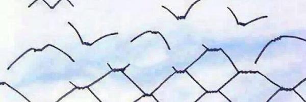 nippy4ever Profile Banner