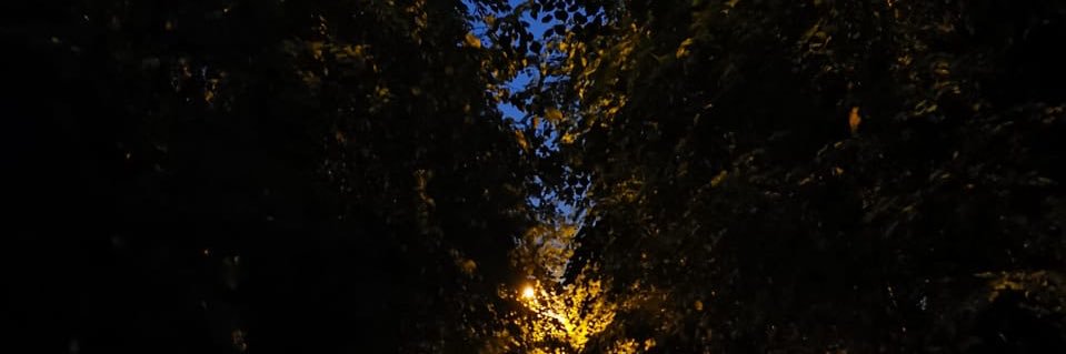 мыслепреступник banner