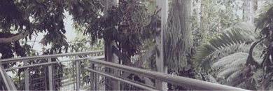 imthemainb's profile banner image