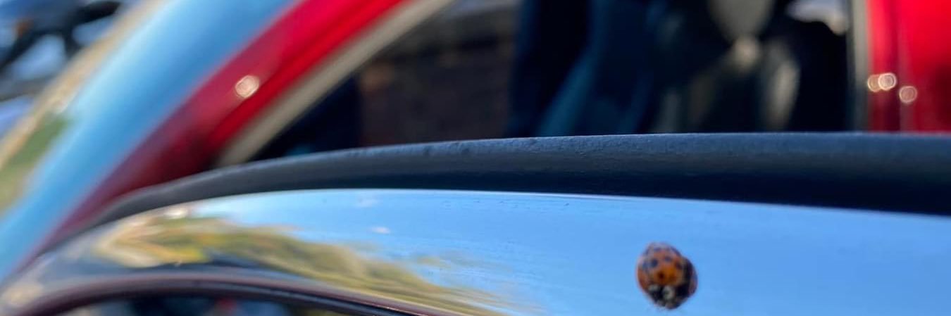 septemberstone_'s profile banner image