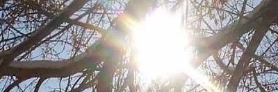 floptography's profile banner image