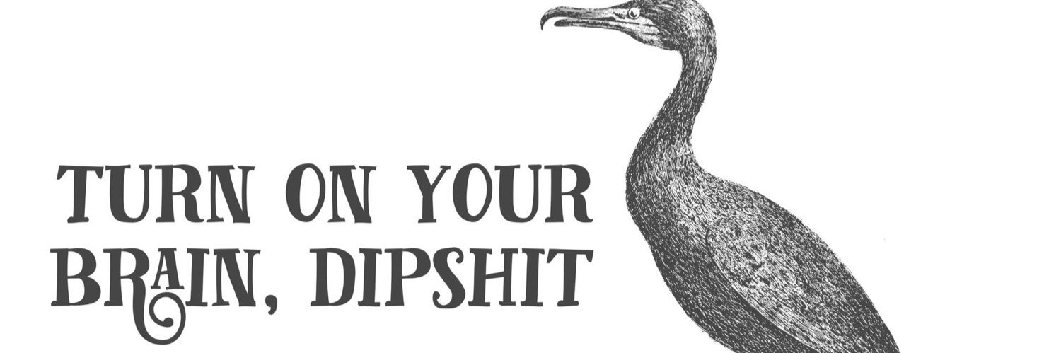 K_RBird's profile banner image