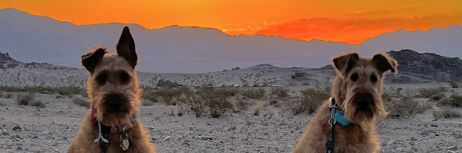ponydoc's profile banner image