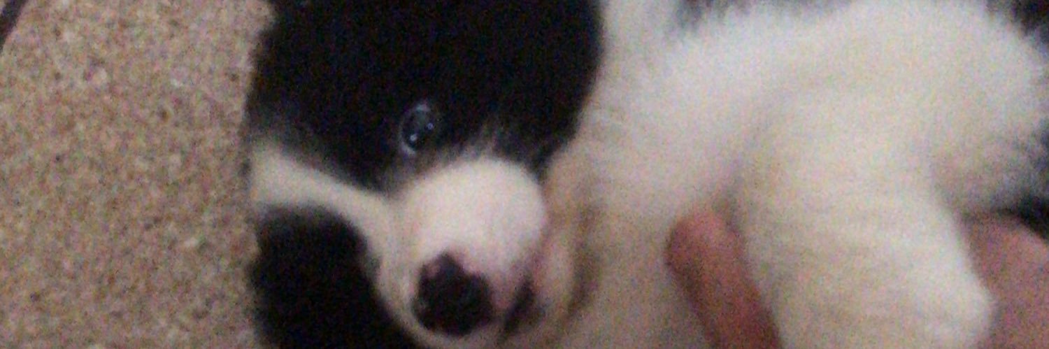 ale99_vini's profile banner image
