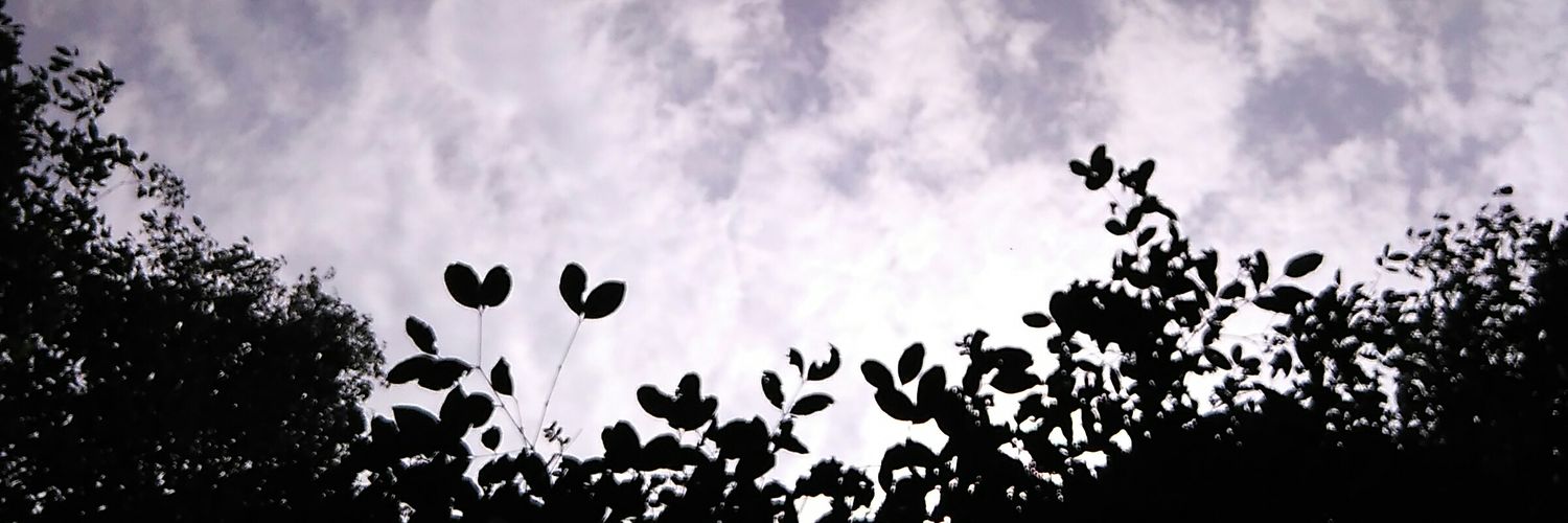 Ar_ieni's profile banner image