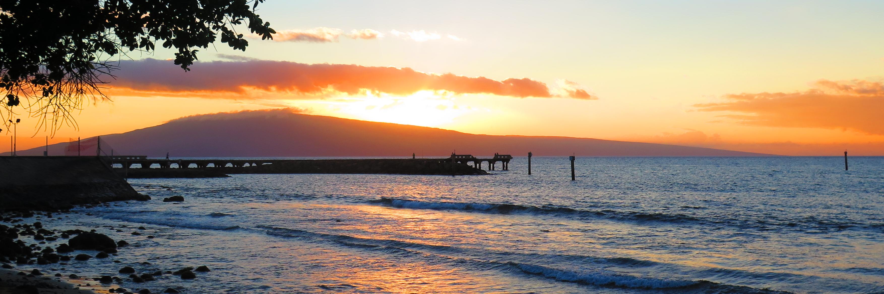 Jessica Gallant banner