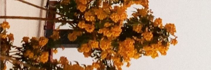 jpc67's profile banner image