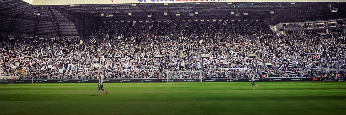 Tom Peace banner