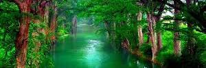Maham__Zehra's profile banner image
