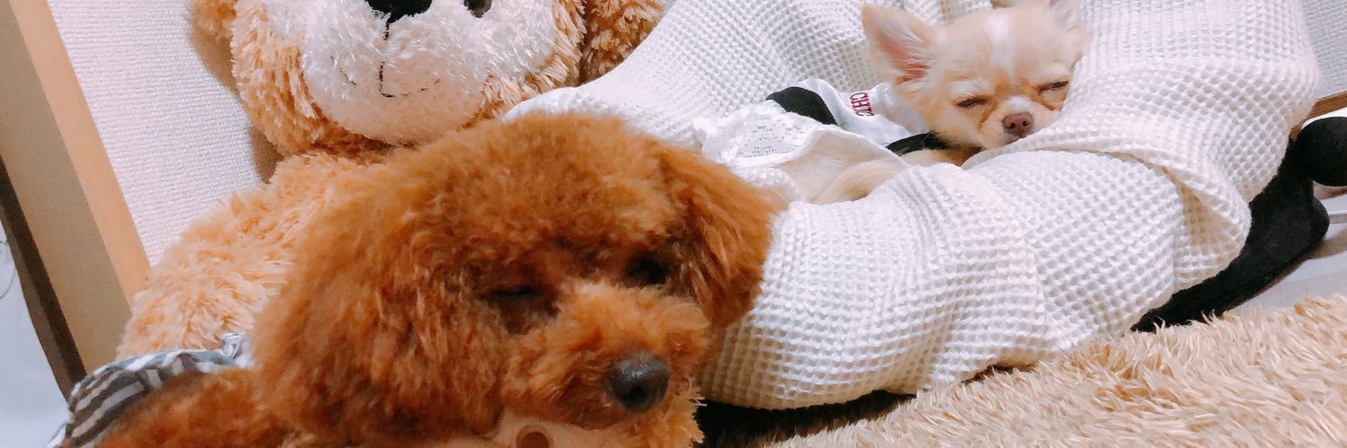 nanakoppp's profile banner image
