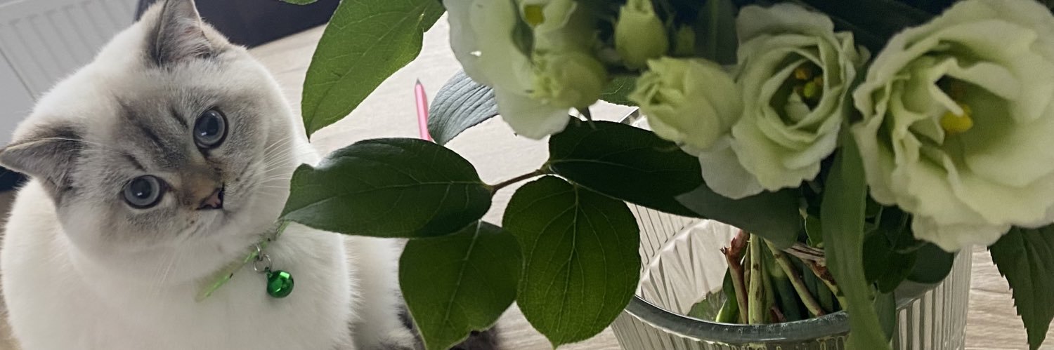 NilyaHc's profile banner image