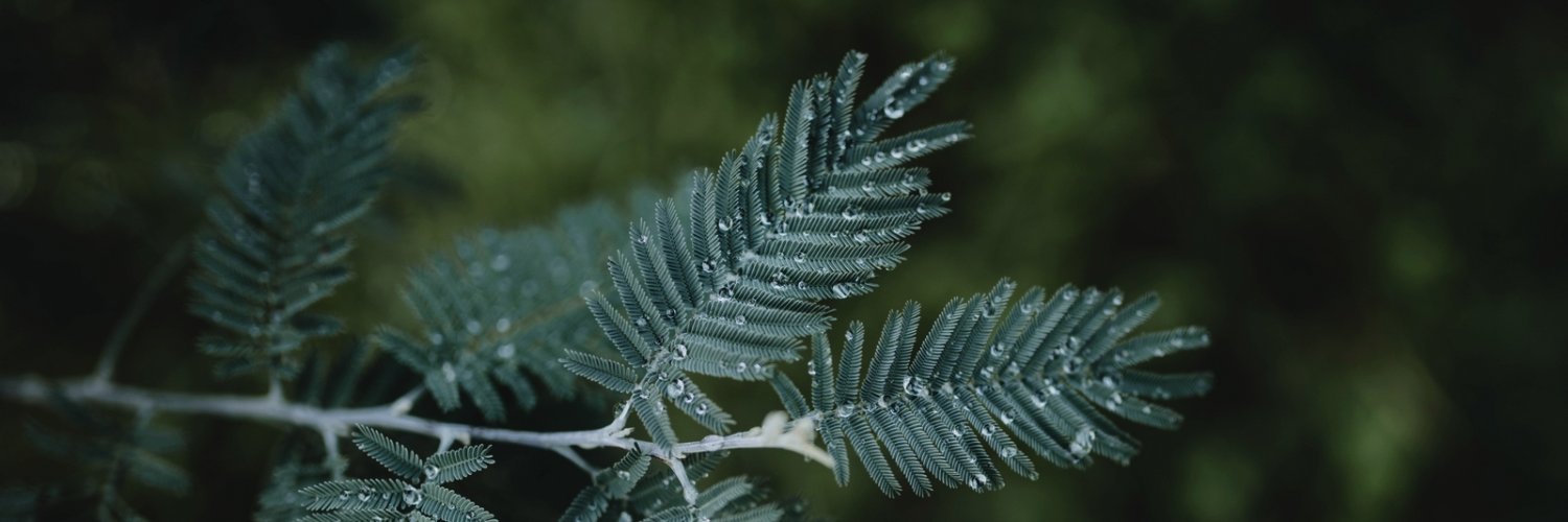 MagaliC_Photo's profile banner image