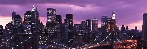 Shar__18's profile banner image