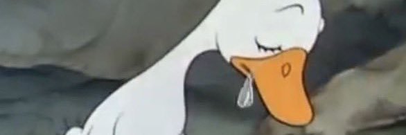 asydwjy's profile banner image