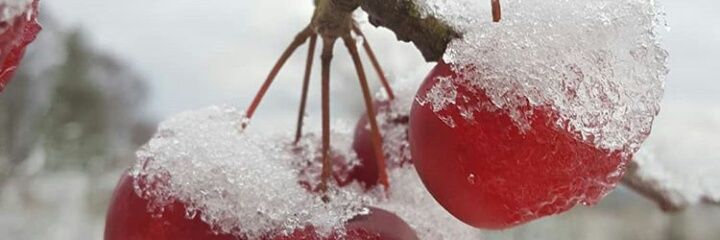 or_ramp's profile banner image