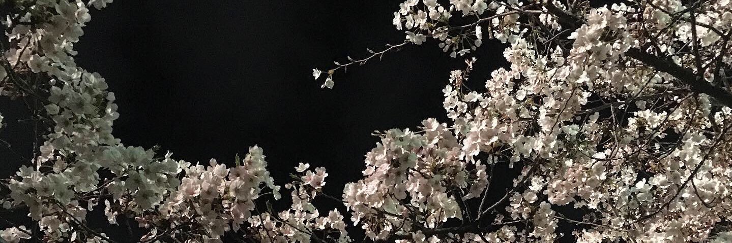 s08312_'s profile banner image