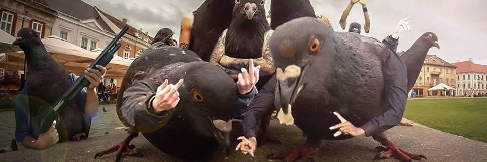 _bahbitch_'s profile banner image