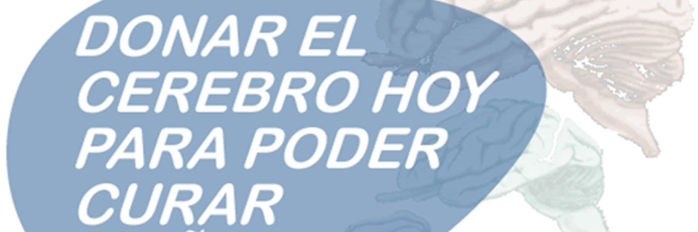 BTNDonar's profile banner image