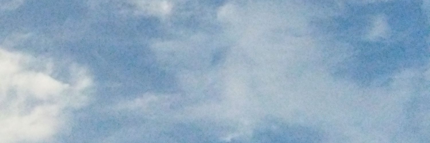 hannsr_'s profile banner image