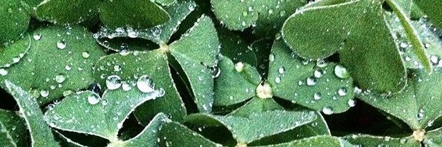 Wilhelm_Eichen's profile banner image