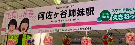 阿佐ヶ谷姉妹 ワタナベエリコ's banner