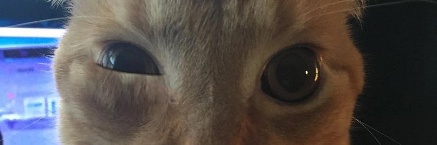 HiItsMeGreg's profile banner image