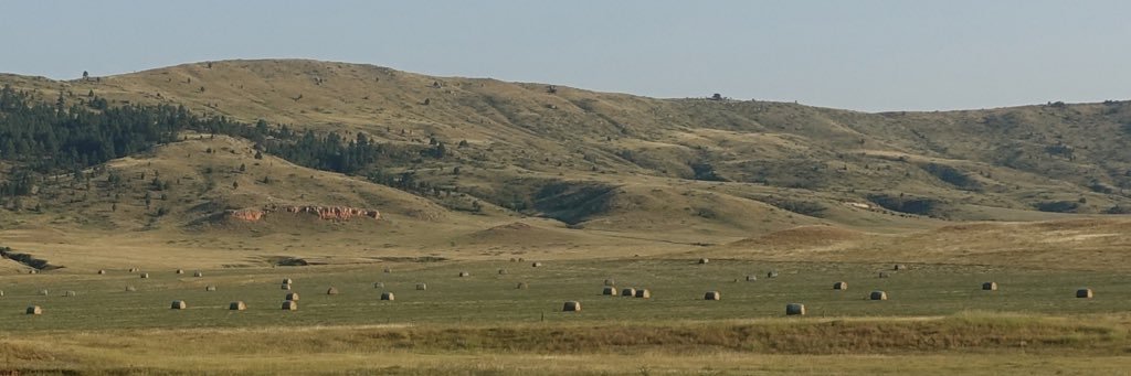 almacdonell's profile banner image