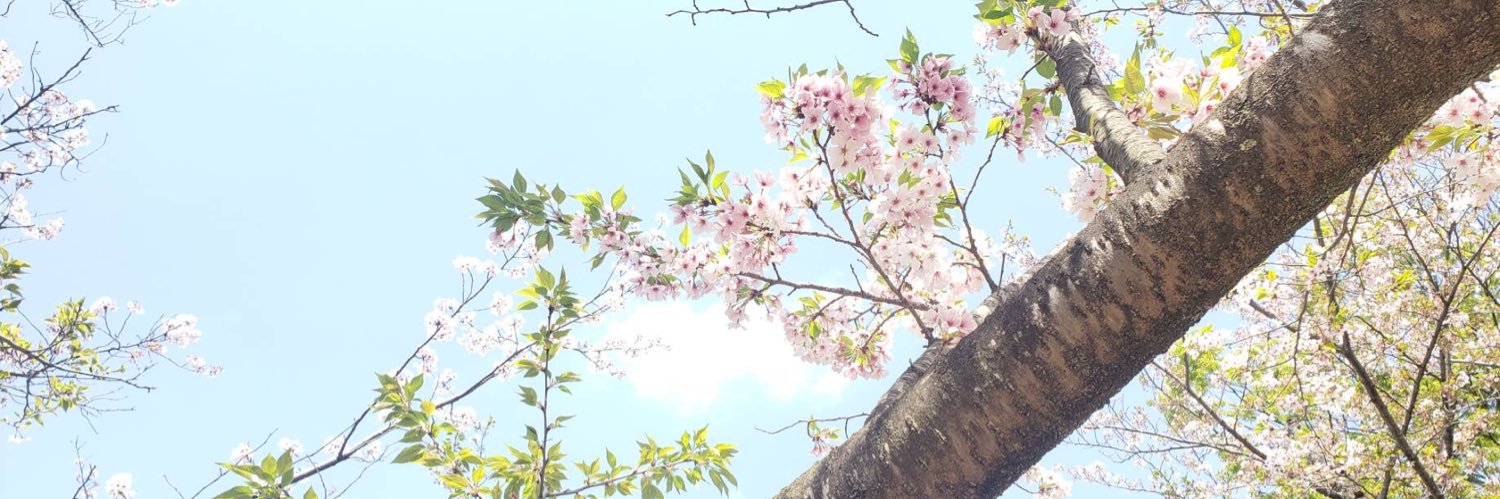 ronekosa's profile banner image