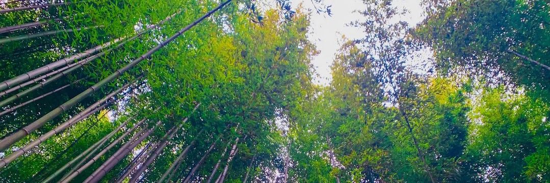 Nada 🦋 banner
