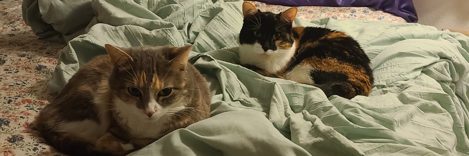 CaitlynMB3's profile banner image