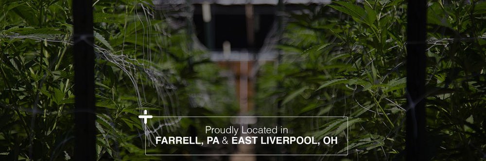 farmaceuticalrx's profile banner image