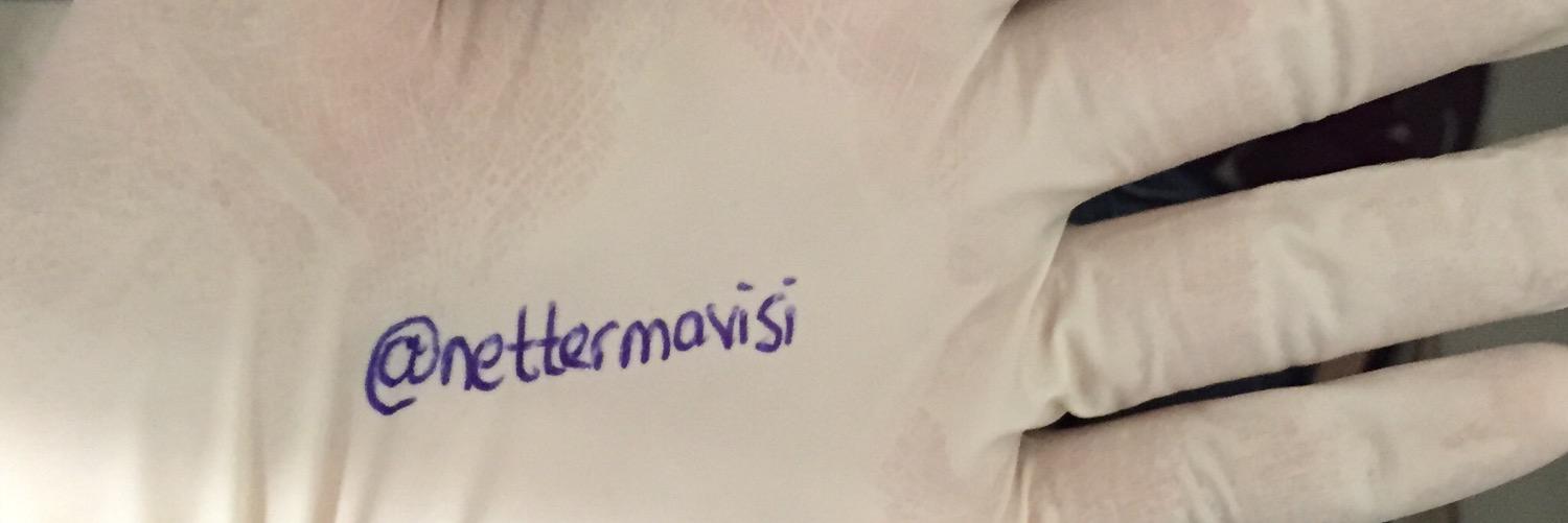 Netter Mavisi banner
