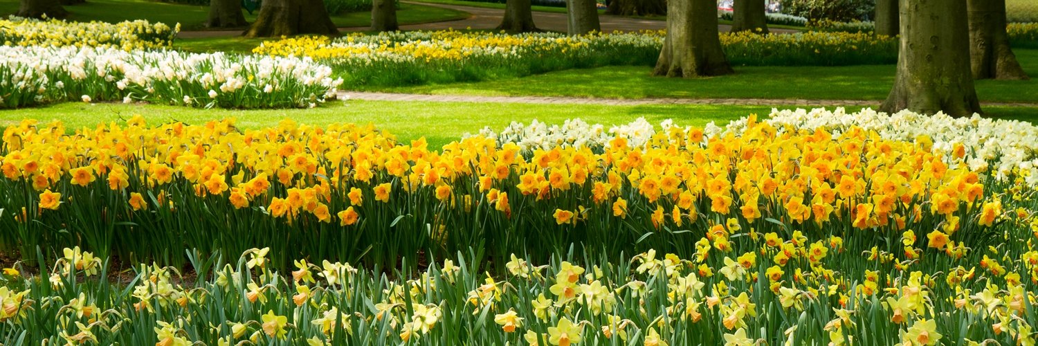 HenryStreetGC's profile banner image