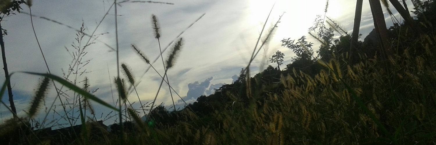Alittleface's profile banner image