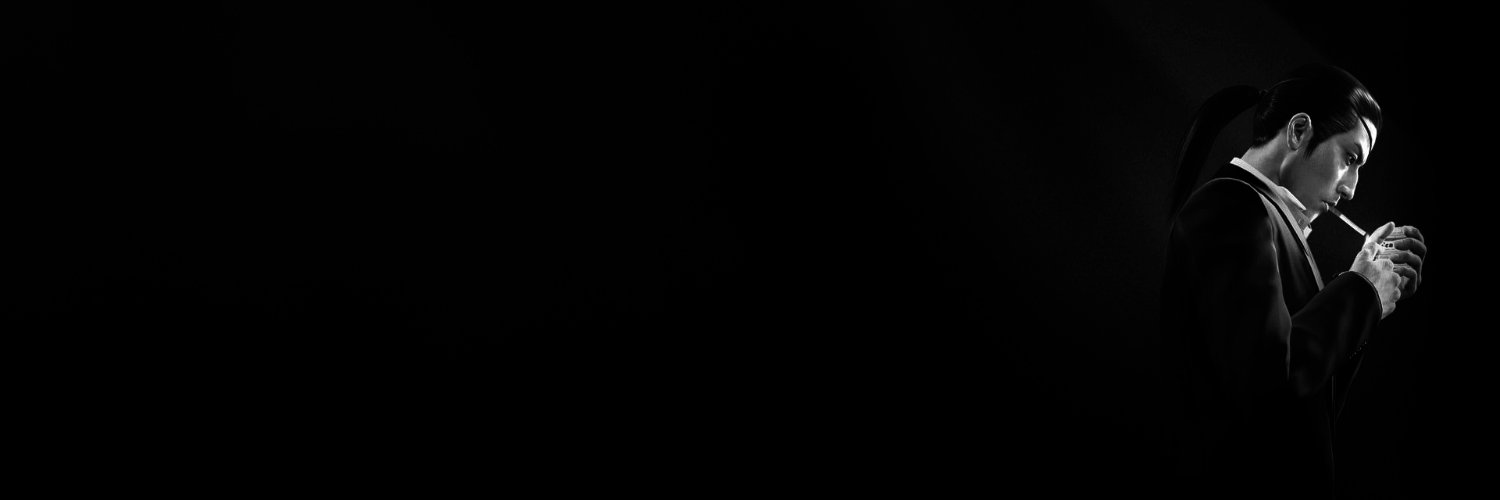 Zorganista banner