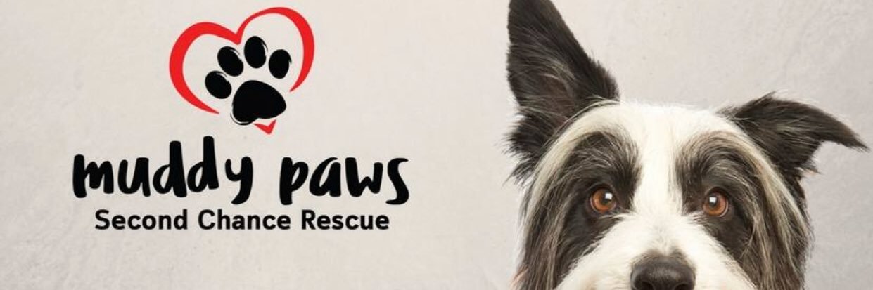 Muddy Paws banner