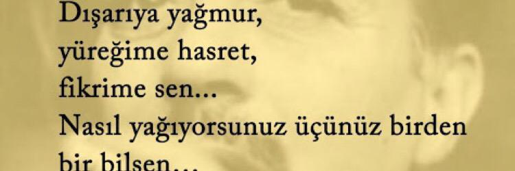 zkanzensel's profile banner image