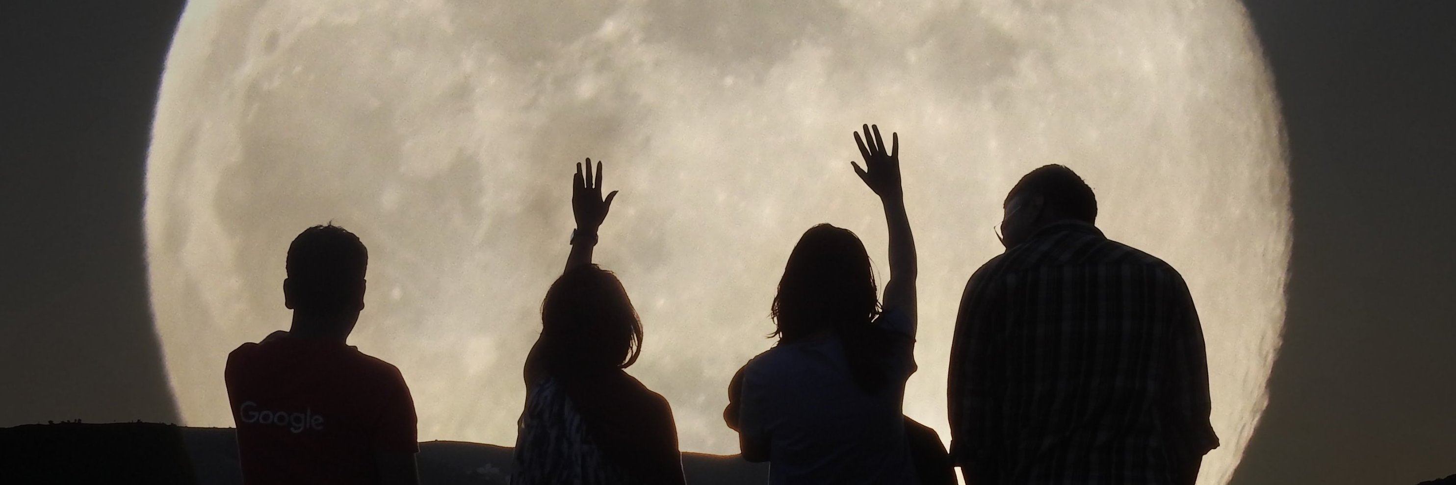 trippysid's profile banner image