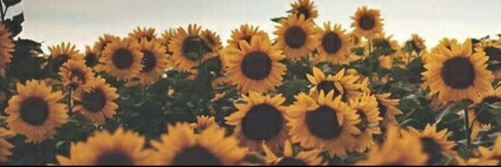 RDBentley_'s profile banner image