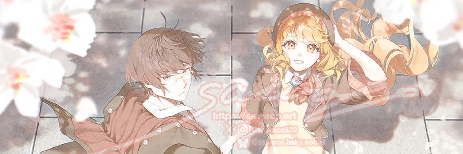 sawaco banner