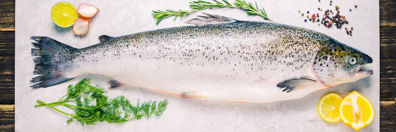 edinburghfish's profile banner image