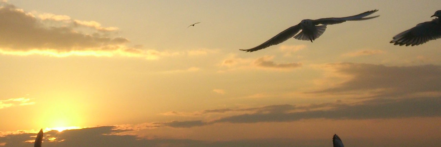 feedlaf's profile banner image