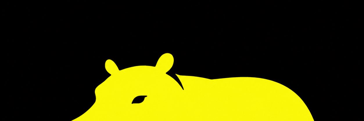slowchestra's profile banner image