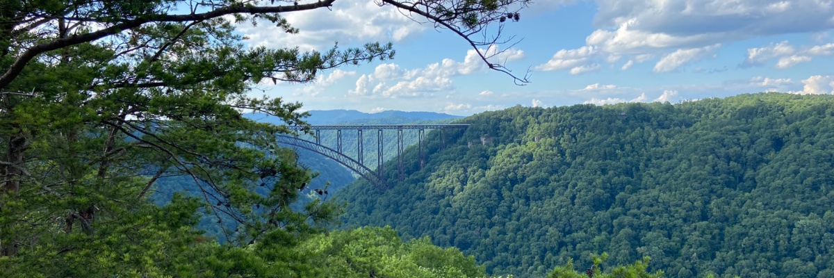 Sadiya Parveen-Nesson banner