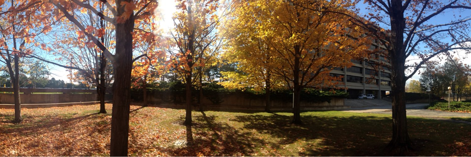 proctorl94's profile banner image