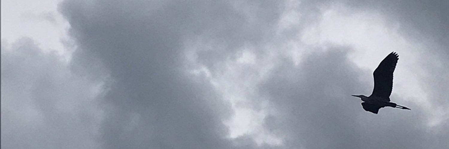 mattconndev's profile banner image