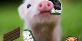 PiggyTube's profile banner image