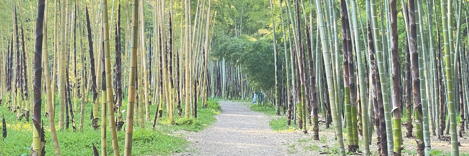 ryuton_11's profile banner image
