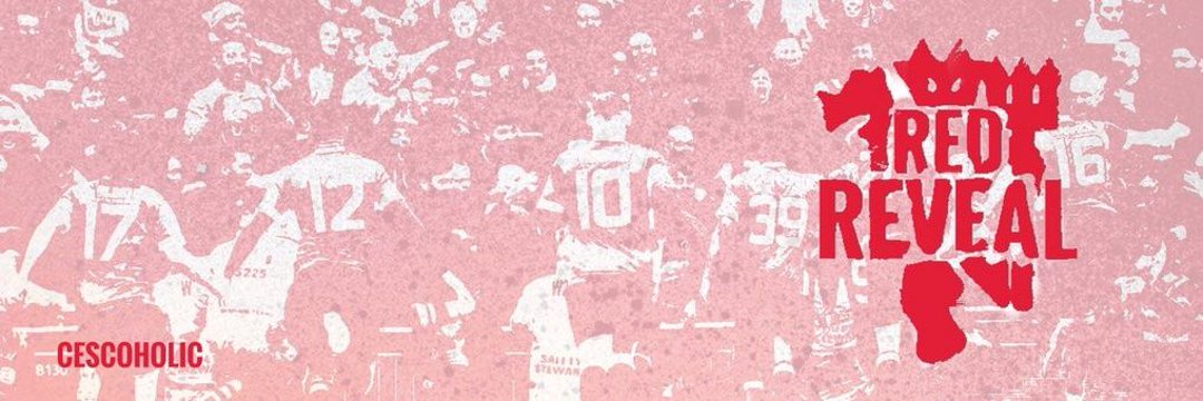 RedReveal's banner