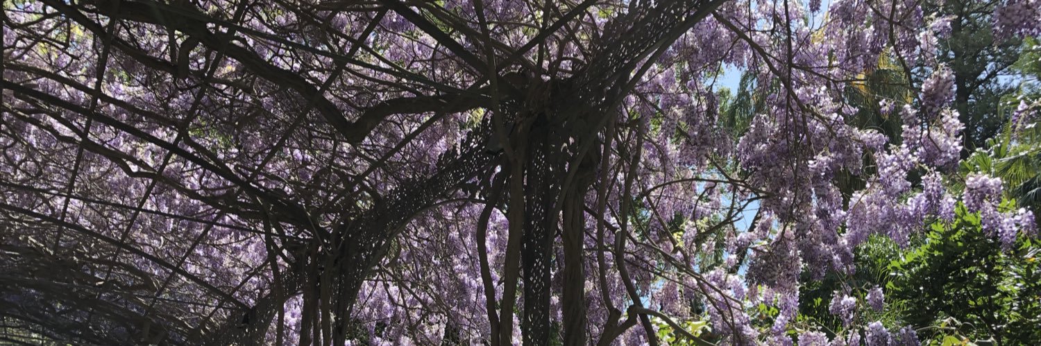 charirivera8's profile banner image